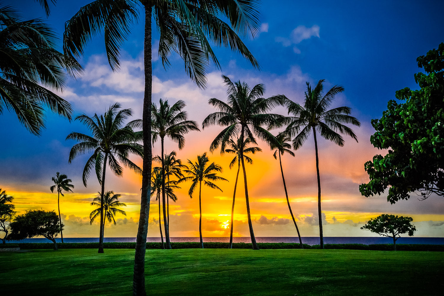 "32" - Ko Olina, Oahu