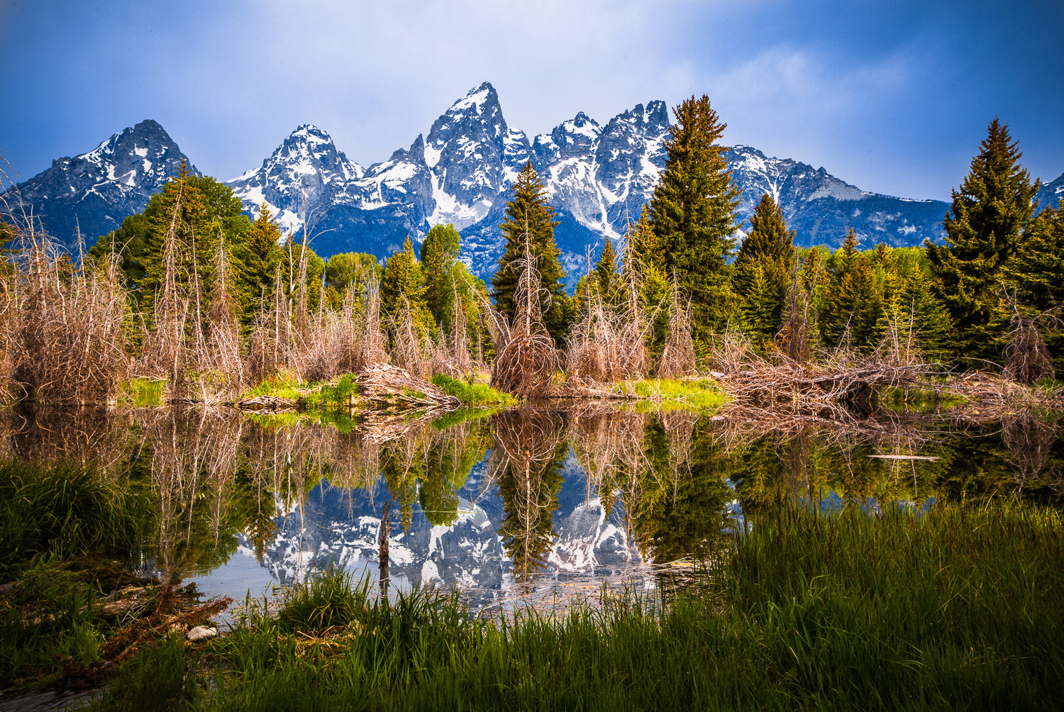 "A Beautiful Mess" - Grand Teton National Park, Wyoming