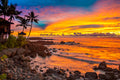 "A Hui Hou" - Haleiwa, Oahu