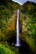 "Akaka Falls" - Akaka Falls, Hawaii