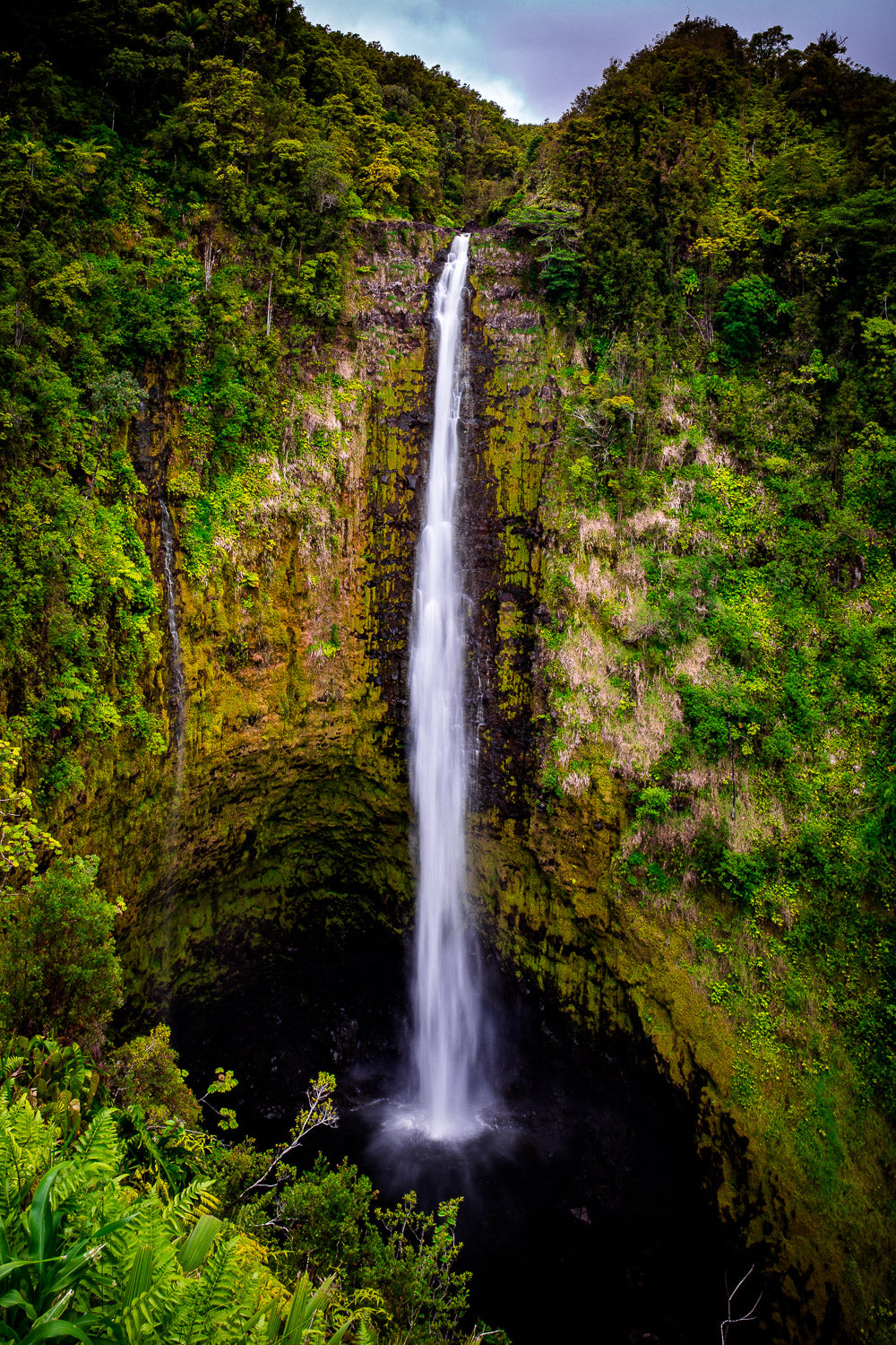"Akaka Falls" - Akaka Falls, Hawaii