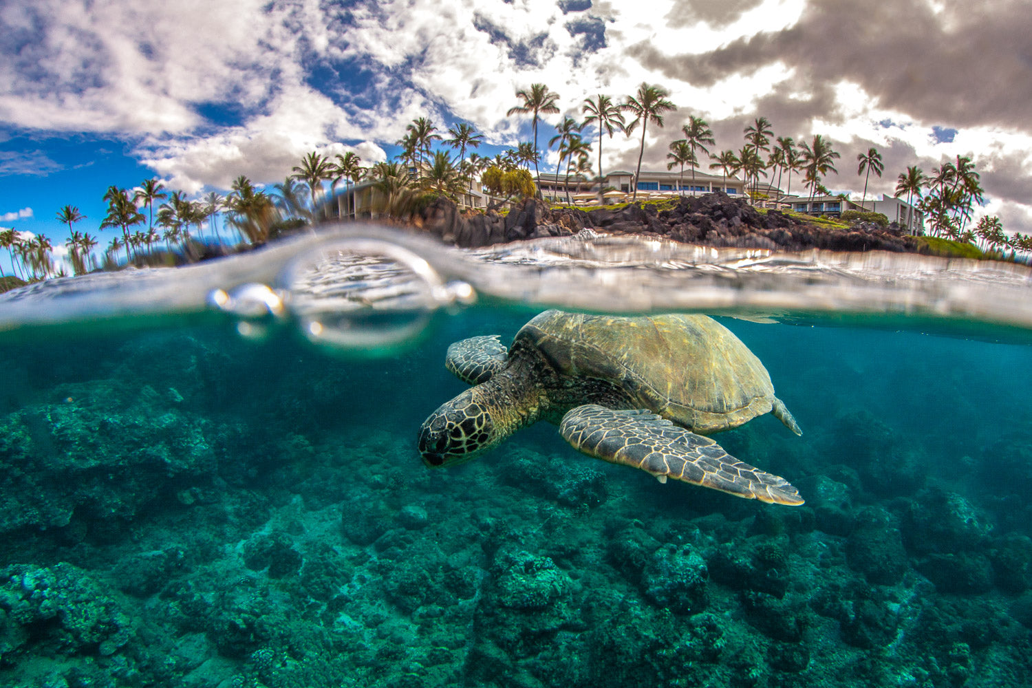 "Andaz" - Wailea, Maui