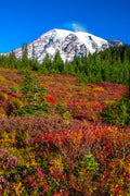 "Autumn Rainbows" - Mount Rainier National Park, Washington