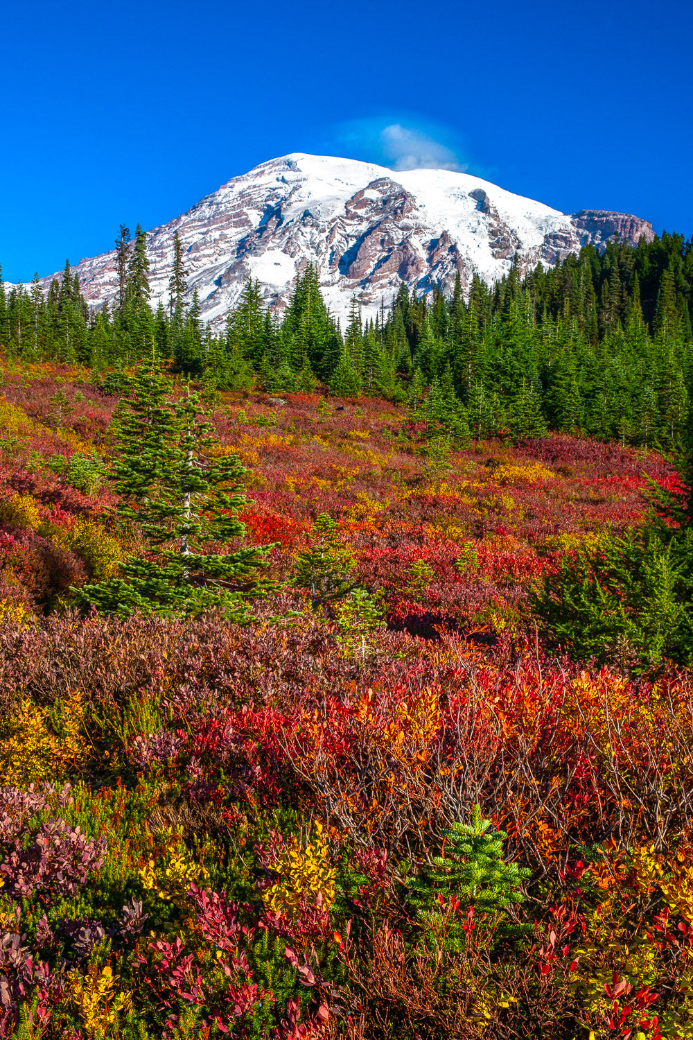 "Autumn Rainbows" - Mount Rainier National Park, Washington