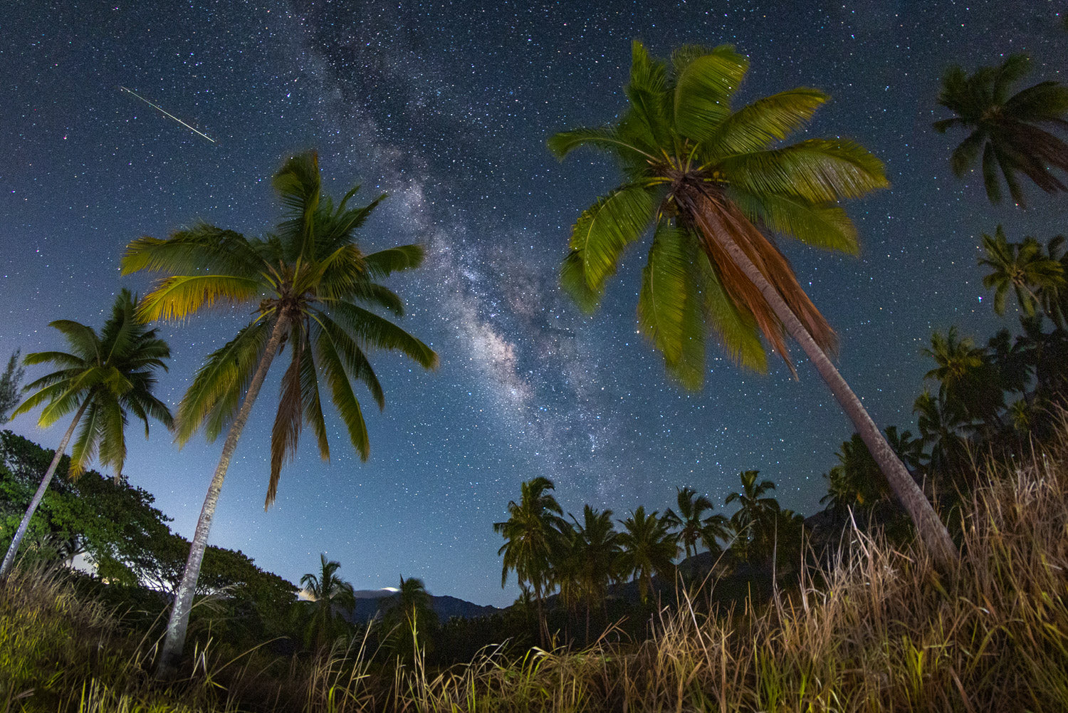 "B4 CRB" - North Shore, Oahu