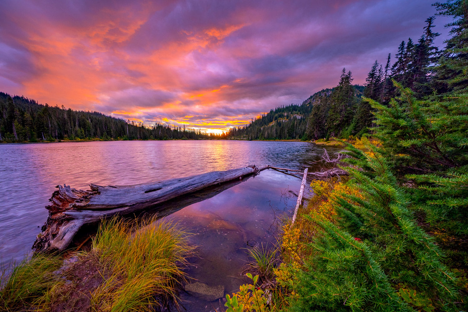 "Bad Cheese" - Mount Rainier National Park, Washington