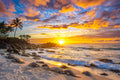 "Bales" - North Shore, Oahu