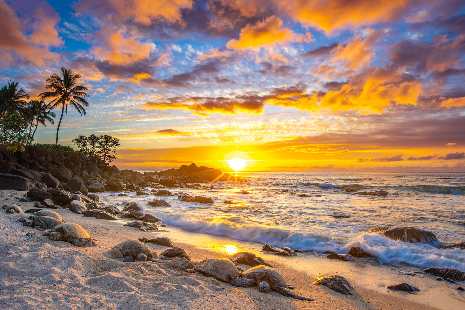 "Bales" - North Shore, Oahu