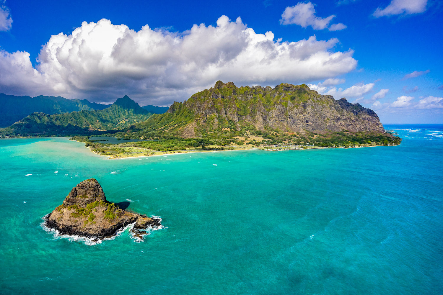 "Bart" - Chinaman's Hat, Oahu