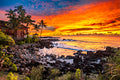 "Blade" - Haleiwa, Oahu