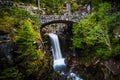 "Bridges" - Mount Rainier National Park, Washington (Christine Falls)