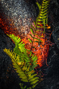 "Burn" - Kamokuna, Hawaii
