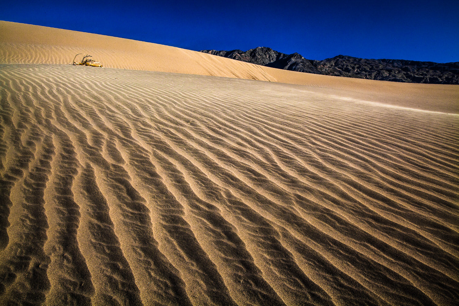 "Cool Blue" - Death Valley National Park, California