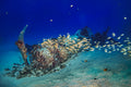 "Corsair" - South Shore, Oahu