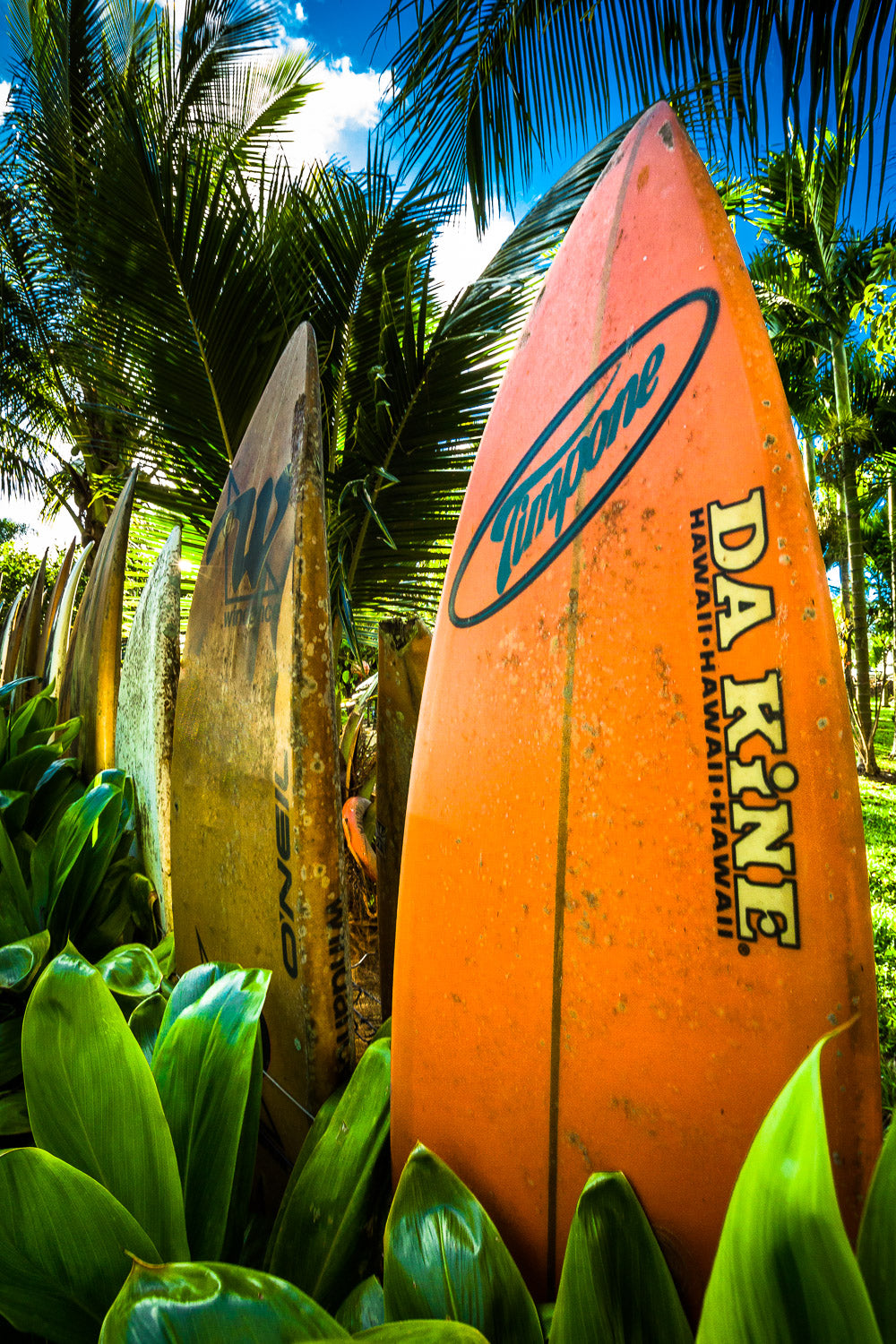 "Da Kine" - Haiku, Maui