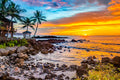 "Dance With The FireAnt" - Haleiwa, Oahu
