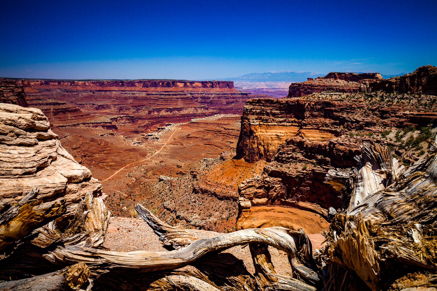 "Deep" - Canyonlands National Park, Utah