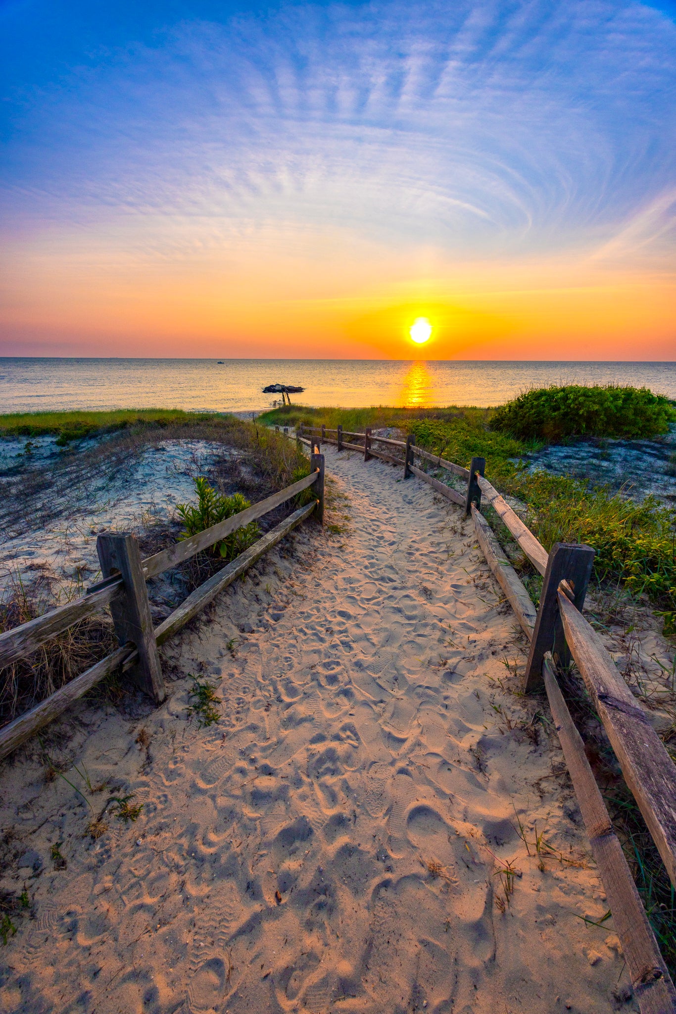 "Delaware Delights" - West Cape May, New Jersey