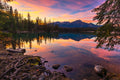 "Dodging Elk" - Beuvert Lake, Jasper, Alberta, Canada