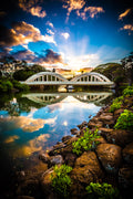 "DreamBows" - Haleiwa, Oahu