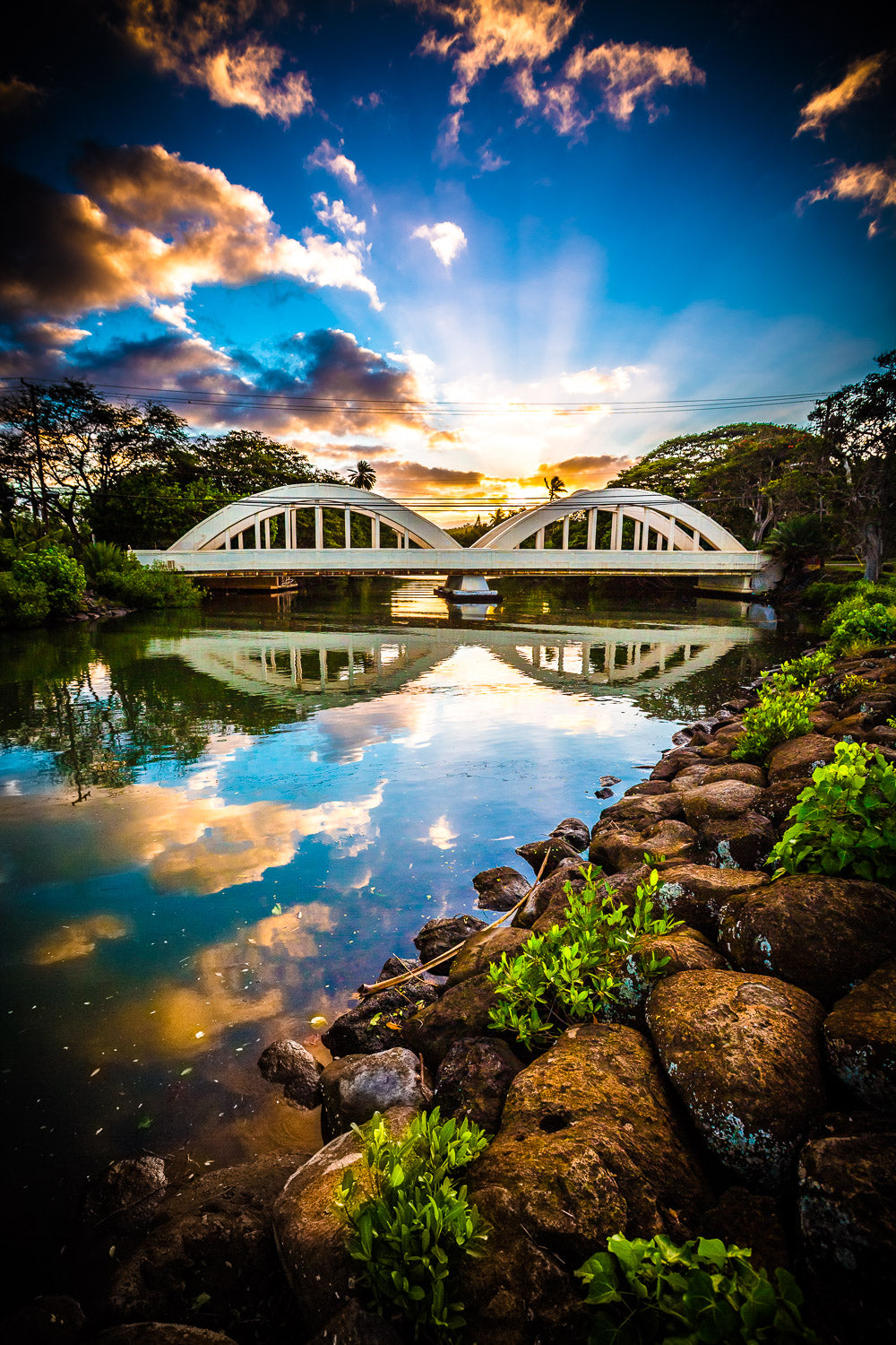 "DreamBows" - Haleiwa, Oahu