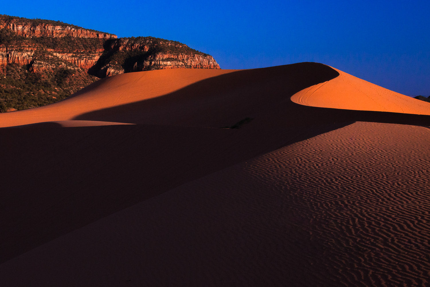 "Dune Sets" - Corral Pink Sand Dunes State Park, Utah