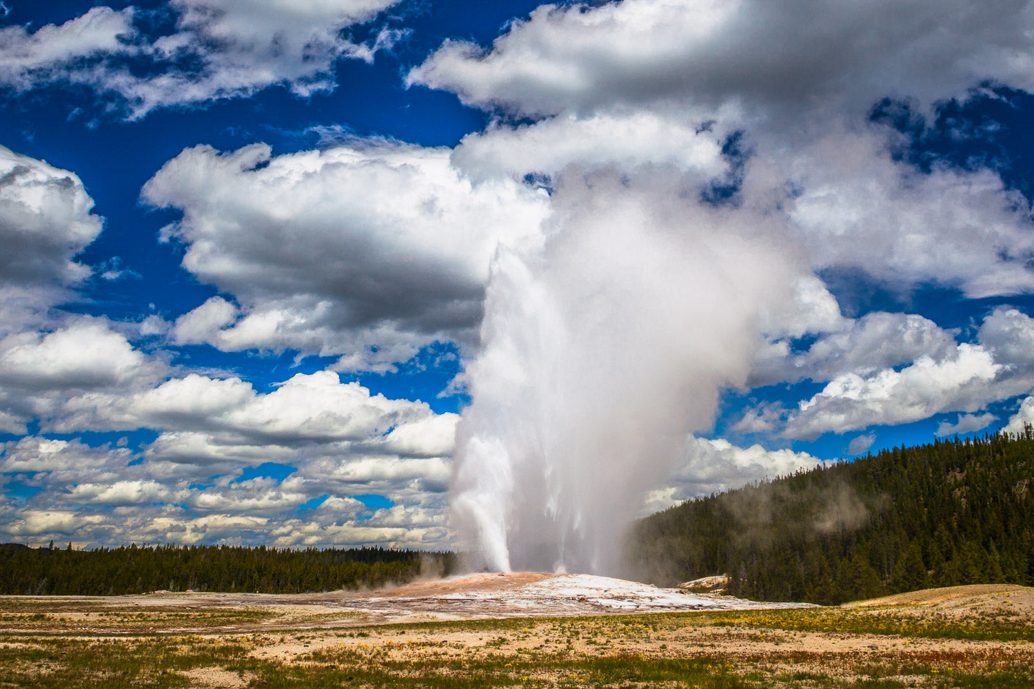 "Faithful" - Yellowstone National Park, Wyoming