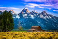 "Fall Enigma" - Grand Teton National Park, Wyoming