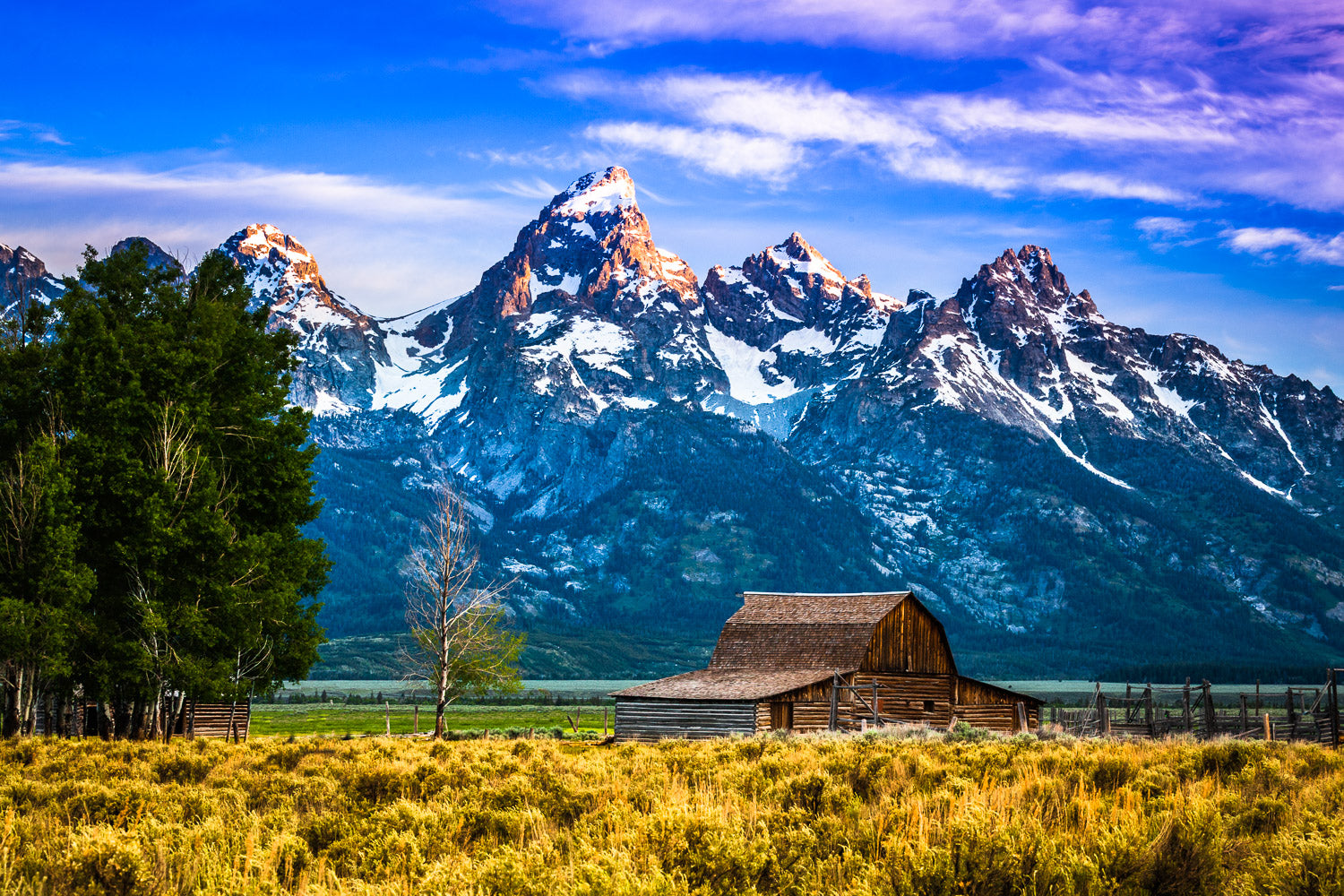 "Fall Enigma" - Grand Teton National Park, Wyoming