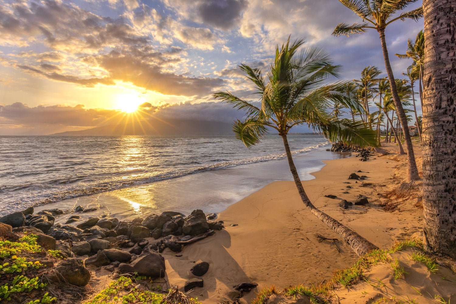 "Finally Found" - Kihei, Maui