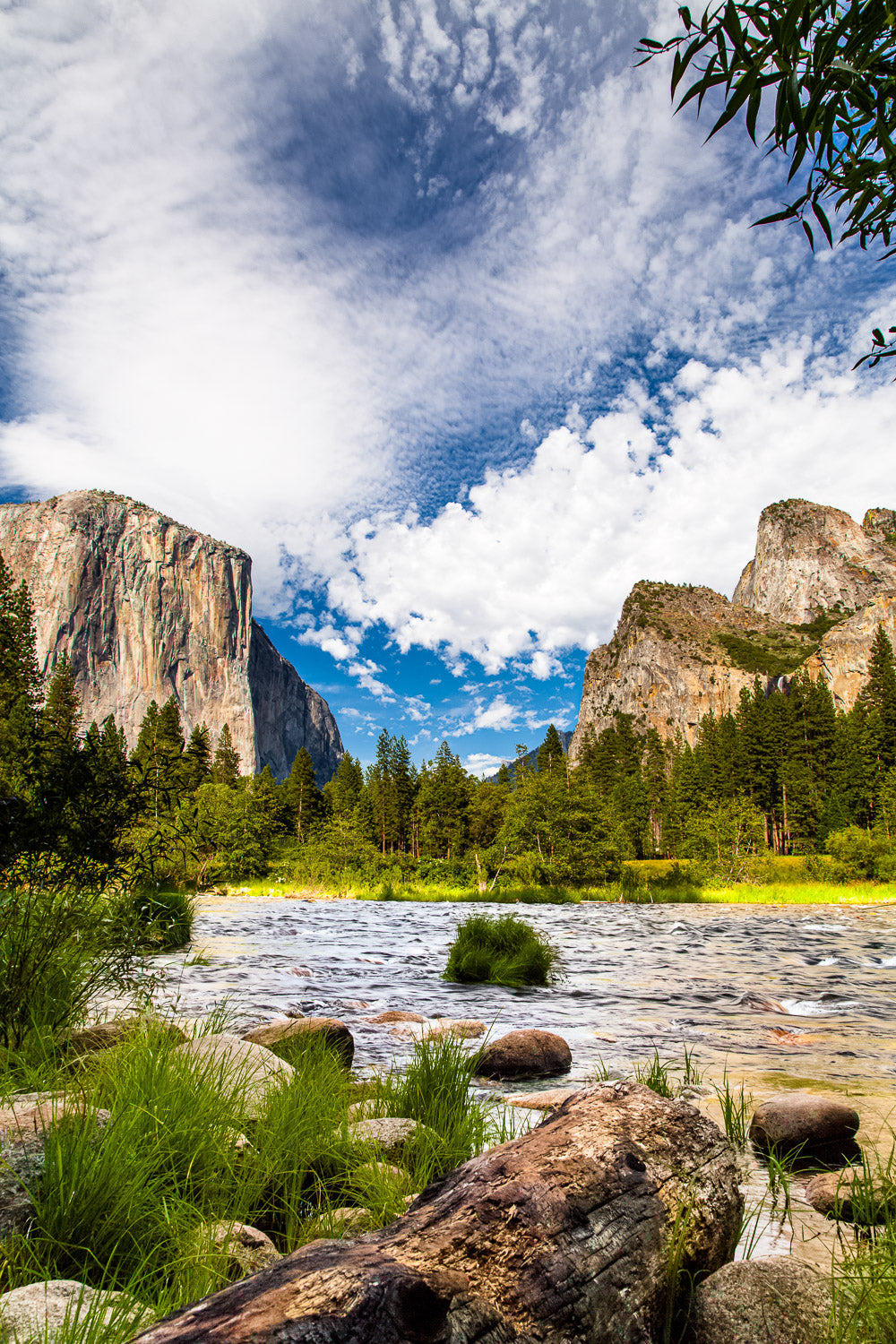 "Flurry" - Yosemite National Park, California