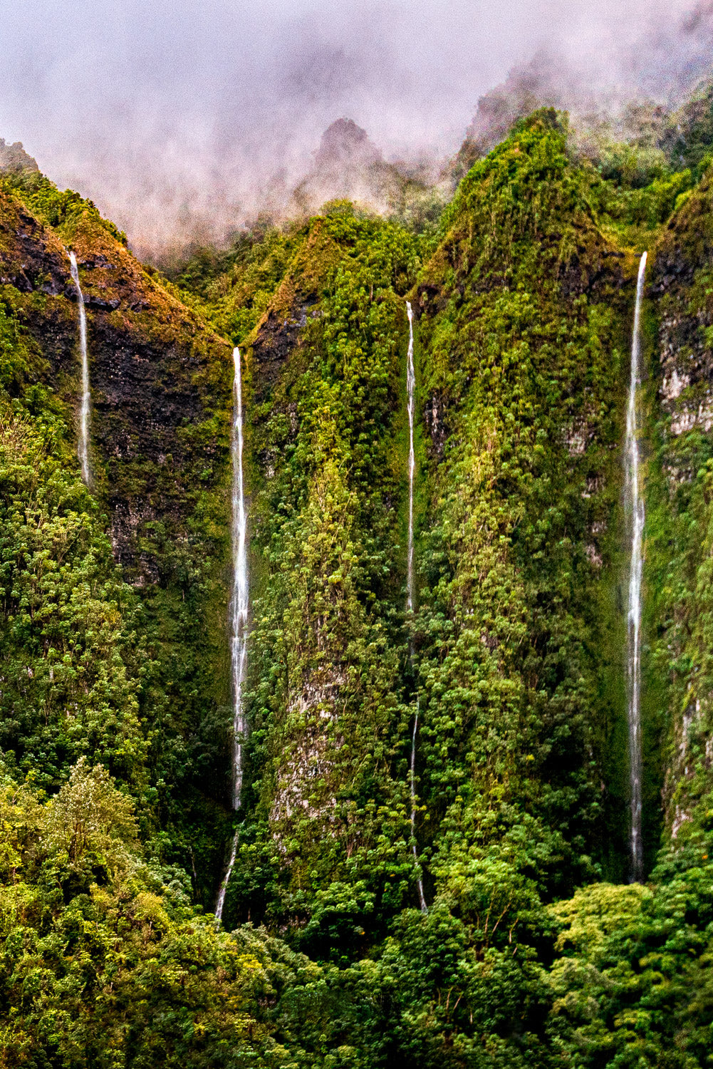 "Four Falls" - Kaneohe, Oahu