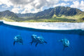 "Four Horsemen" - WestSide, Oahu