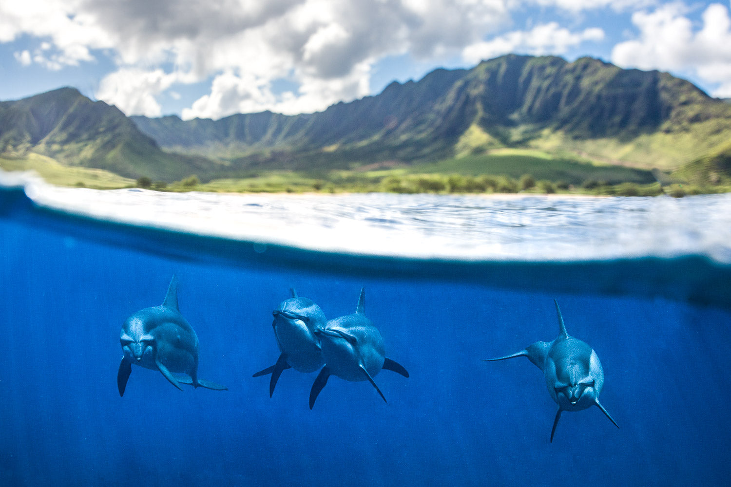 "Four Horsemen" - WestSide, Oahu