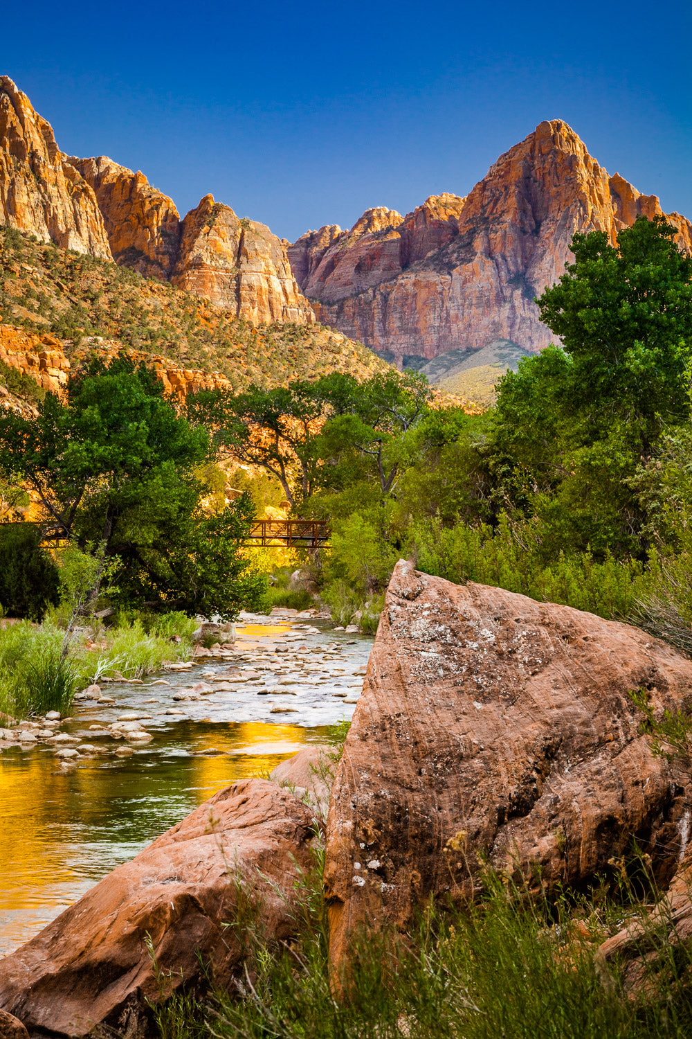 "Glaze" - Zion National Park, Utah