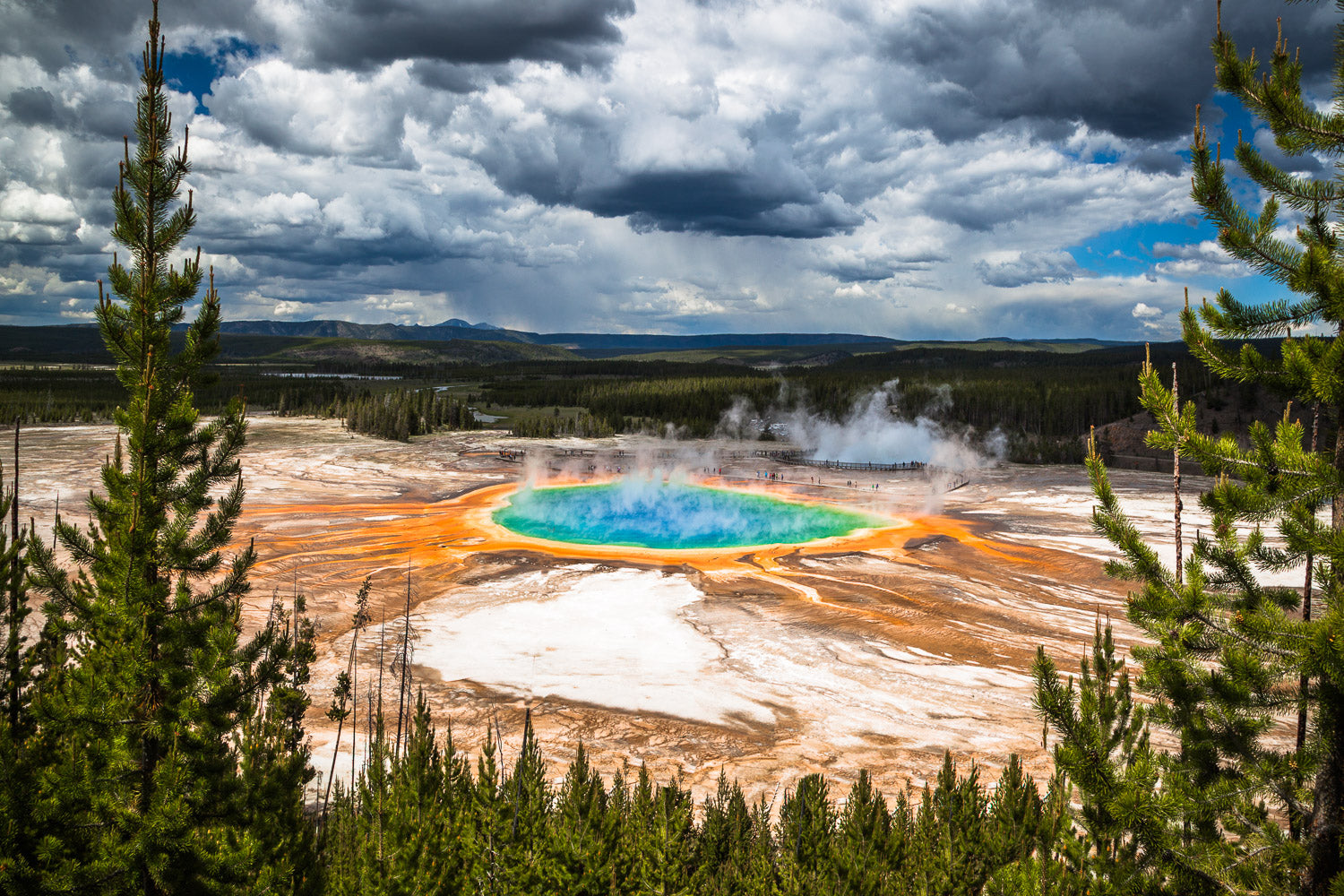 "Goat Trail II" - Yellowstone National Park, Wyoming