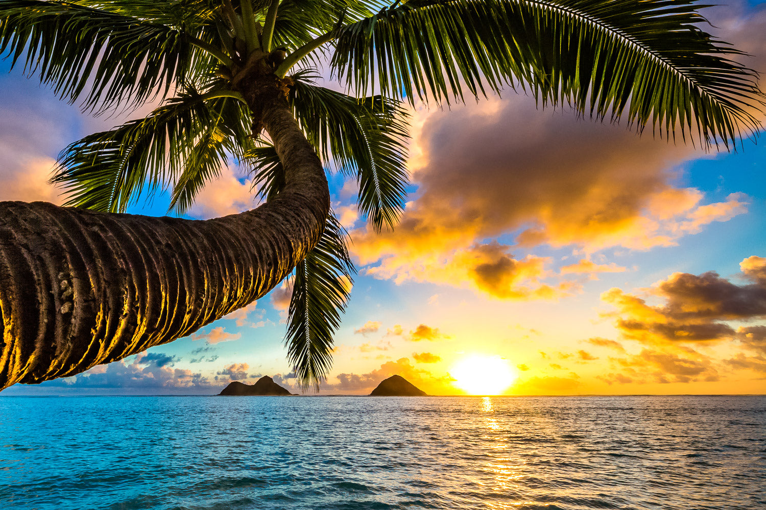 "Goode" - Lanikai, Oahu