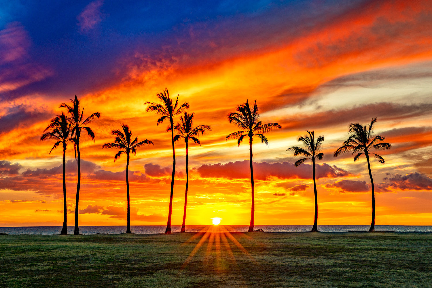 "Hachi八" - Ko Olina, Oahu