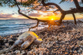 "Happy Place" - Wailea, Maui