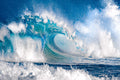 "Hawaiian Ice"