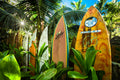 "Hawaiian Picket Fence"