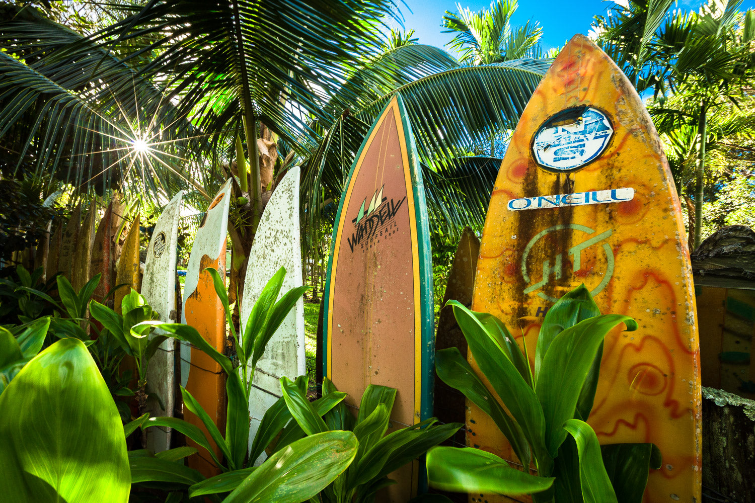 "Hawaiian Picket Fence"