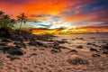 "Honu-Hide-Away" - North Shore, Oahu