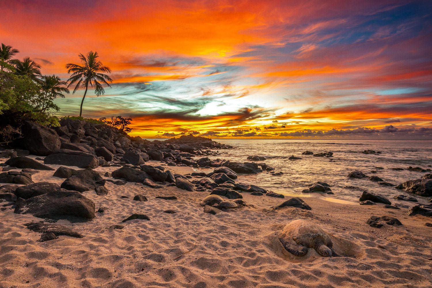 "Honu-Hide-Away" - North Shore, Oahu