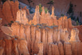 "Hoodoo" - Bryce Canyon, Utah