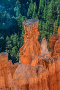"Hoodoo II" - Bryce Canyon, Utah