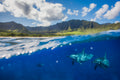 "Into the Blue" - WestSide, Oahu