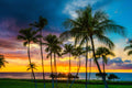 "Joy" - Ko Olina, Oahu