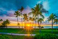 "Joyous" - Ko Olina, Oahu