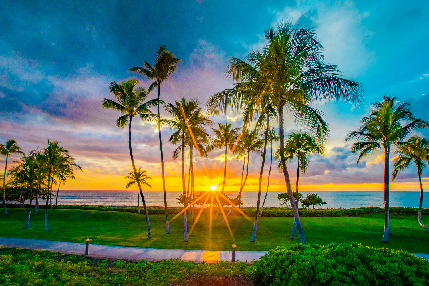 "Joyous" - Ko Olina, Oahu